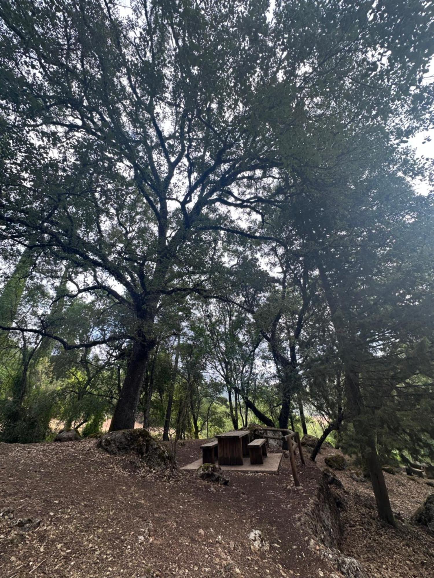 Casa Maria En Linarejos *